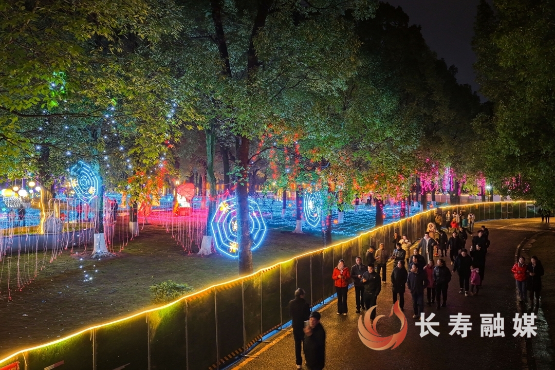 璀璨光影庆元旦 迎春灯会引客来6