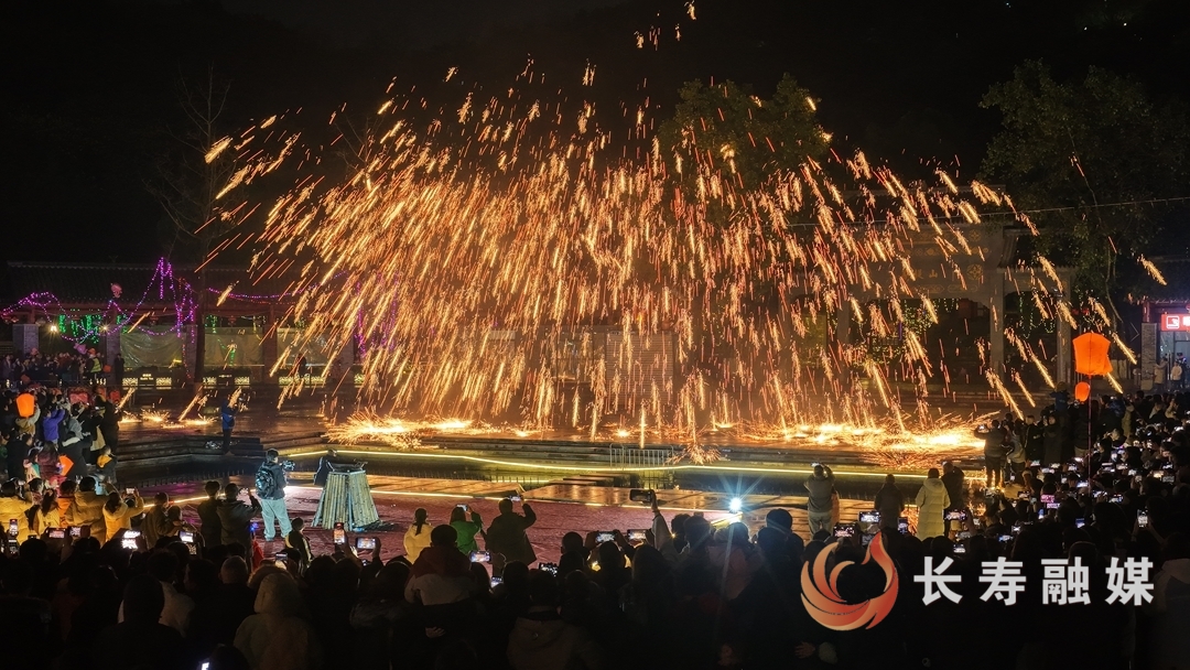 璀璨光影庆元旦 迎春灯会引客来8