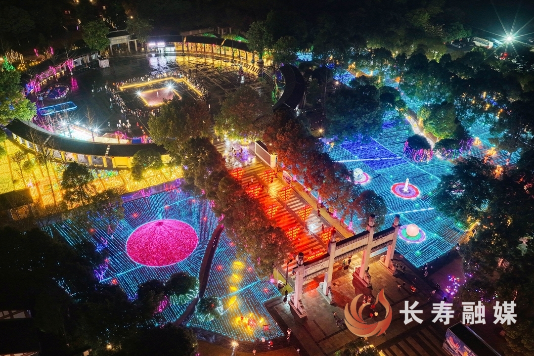 璀璨光影庆元旦 迎春灯会引客来7