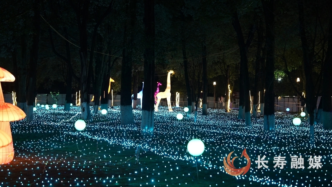 璀璨光影庆元旦 迎春灯会引客来2