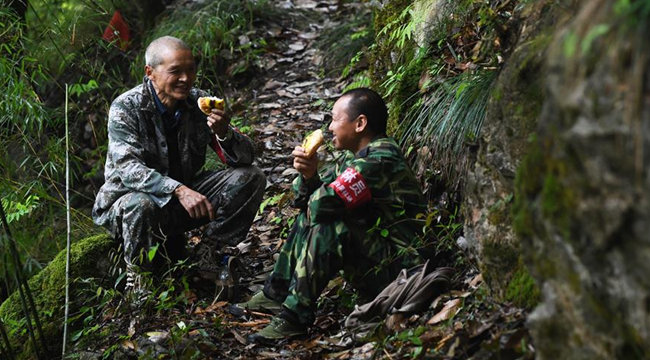 新华网重庆频道