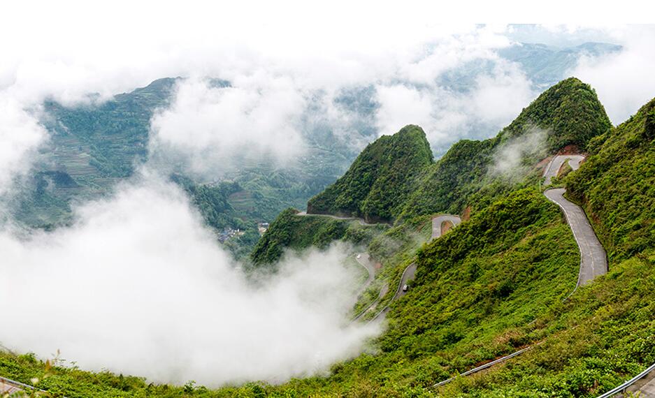 新华网重庆频道